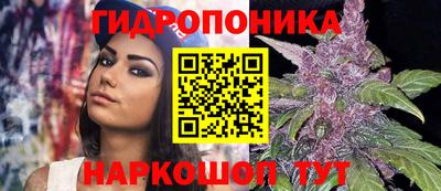 ECSTASY Будённовск